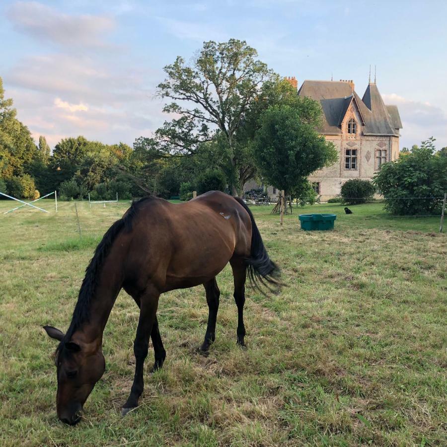 Vila Manoir De La Chouanniere Montreuil-sur-Maine Exteriér fotografie